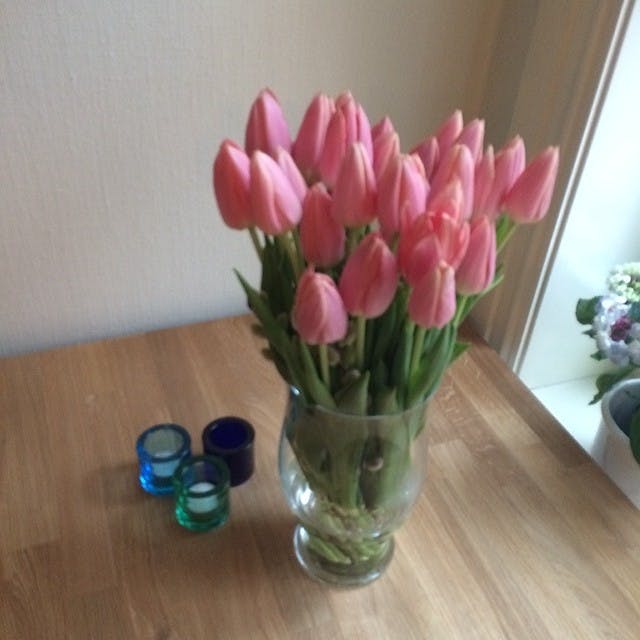 Flotte blomster jeg fikk fra #FINN_no for produktutvikler pris :)